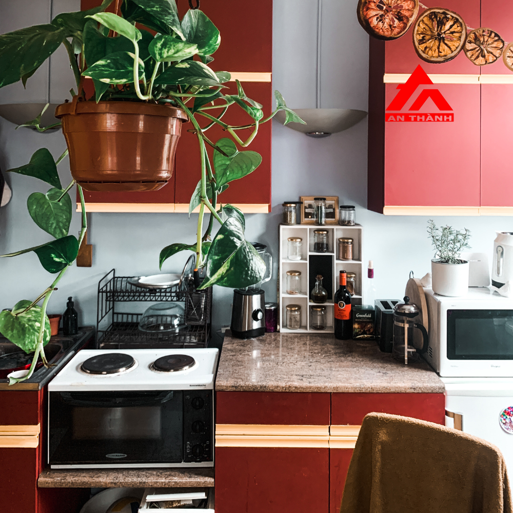 Cách Giữ Bếp Gas Luôn Sạch Sẽ Và An Toàn Khi Nấu Ăn